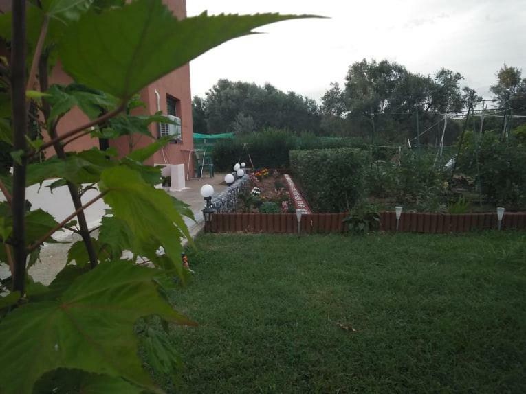 Apartamento Dora's Garden Alejandrópolis Exterior foto